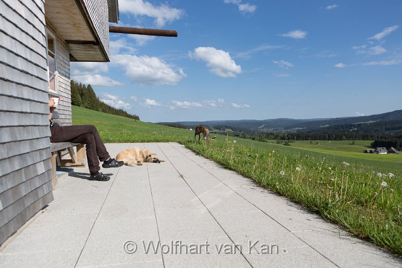 0K2A1757.jpg - 28.05.2016 Breitnau - Unsere Terrasse