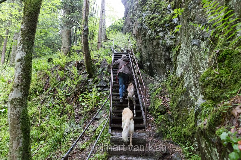 0K2A1852.jpg - 30.05.2016 Ravennaschlucht