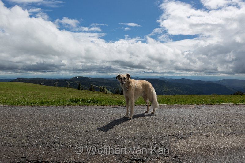 0K2A1948.jpg - 31.05.2016 Feldberg