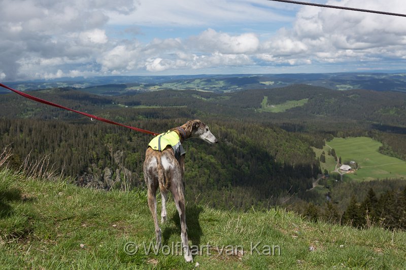 0K2A1975.jpg - 31.05.2016 Feldberg