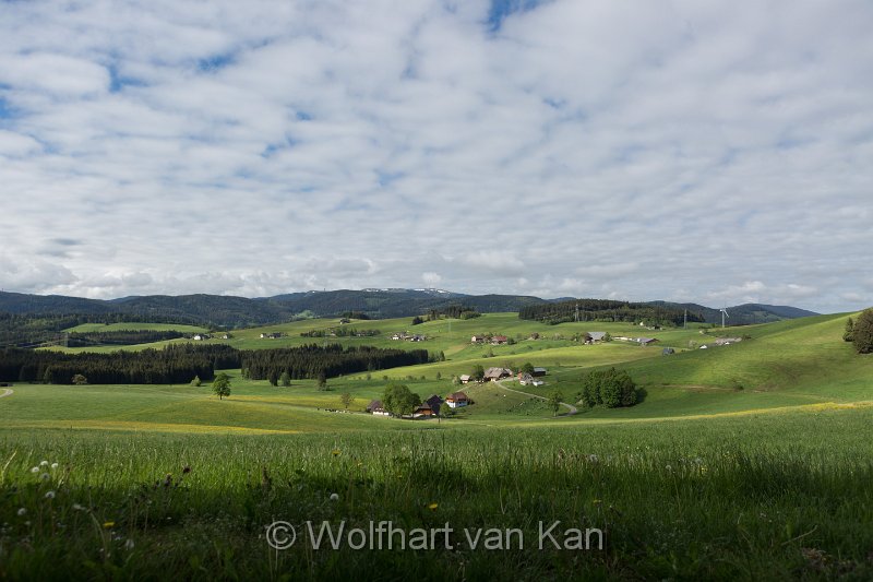 0K2A1990.jpg - 01.06.2016 Breitnau - Die tägliche Aussicht am Morgen
