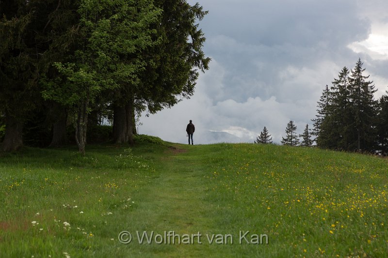 0K2A2321.jpg - 03.06.2016 Breitnau - Abendrunde