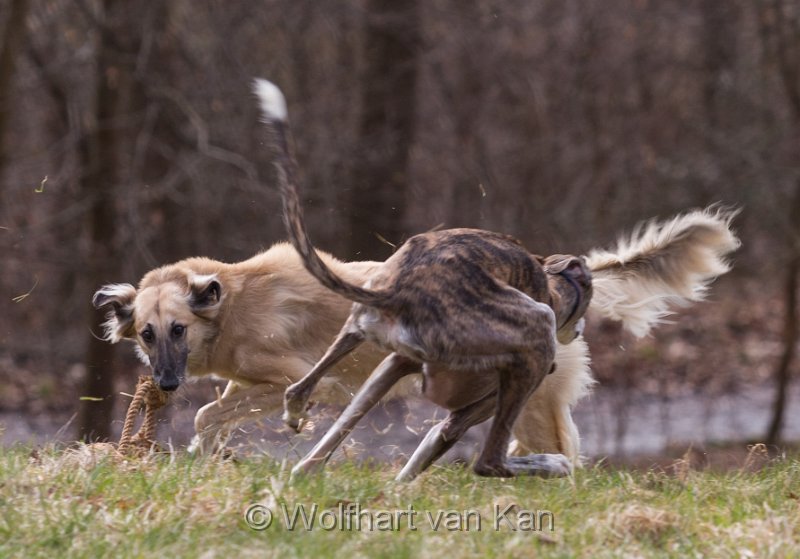 20160402-01.jpg - 02.04.2016 Volle Action!