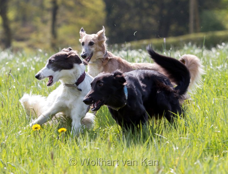 20160501-01.jpg - 01.05.2016 Nicht auf den Punkt scharf, aber eins meiner absoluten Lieblingsfotos!