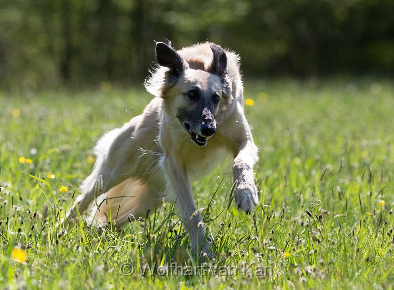 20160508-01.jpg - 08.05.2016 Wenn hinten zu viel geschoben wird...