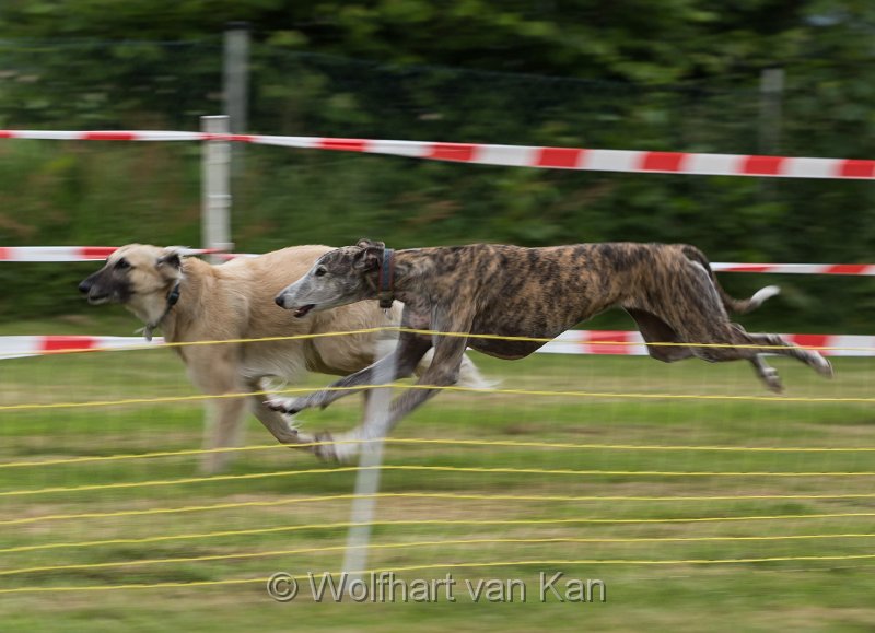 20160612-01.jpg - 12.06.2016 Beim Jederhund Spaßrennen mitgemacht