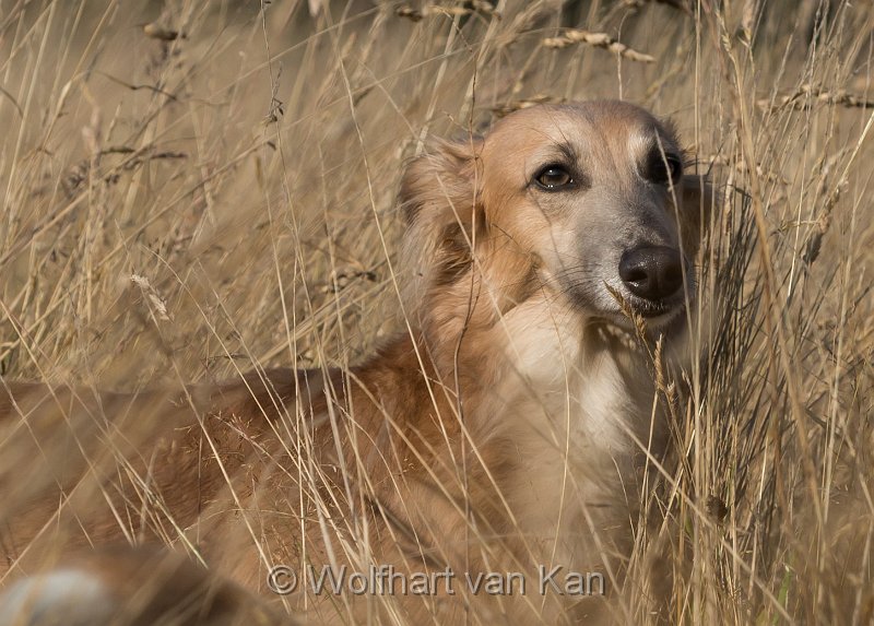 20160813-03.jpg - 13.08.2016 Greta - Mutter von Trouble :-)