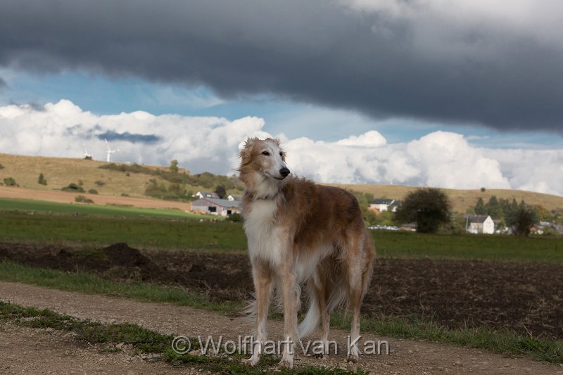 20161009-02.jpg - 09.10.2016 Ein weiteres Postkartenfoto von Barin