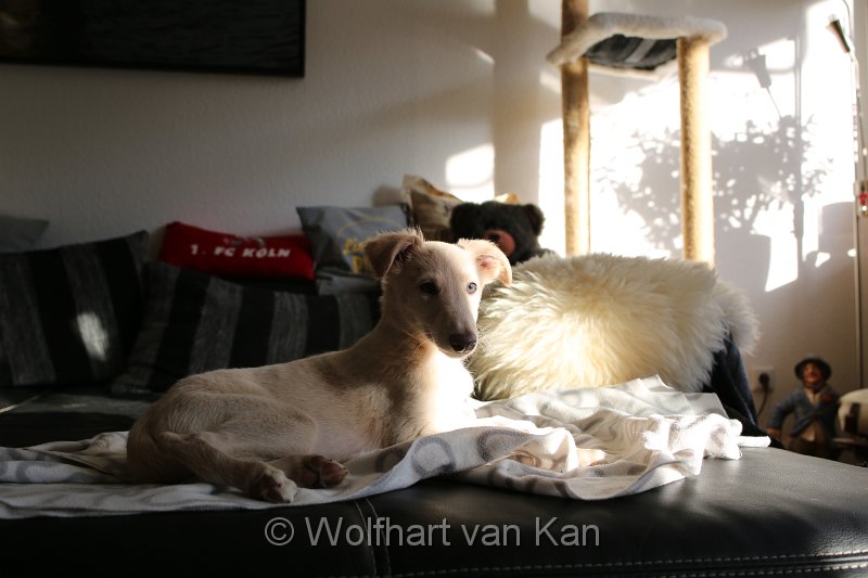 20161210-01.JPG - 10.12.2016