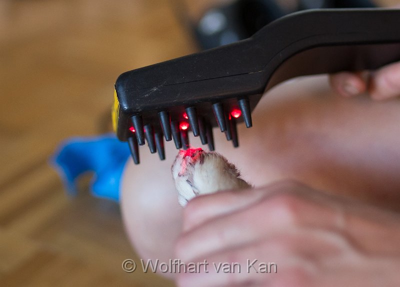 0K2A3365.jpg - Lasertherapie