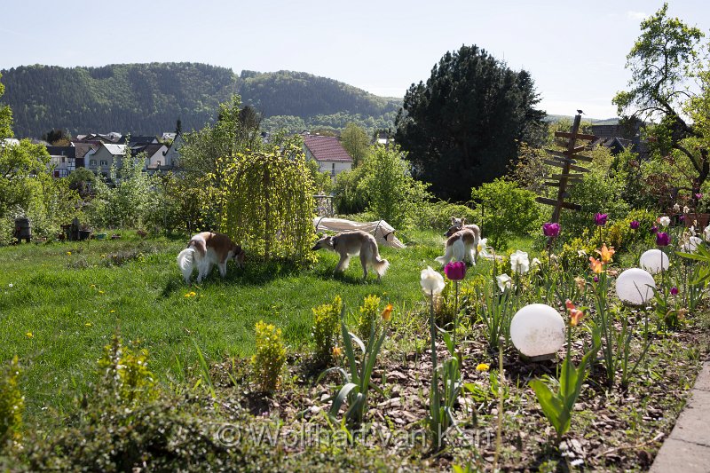 0K2A5729.jpg - Der Hotelgarten