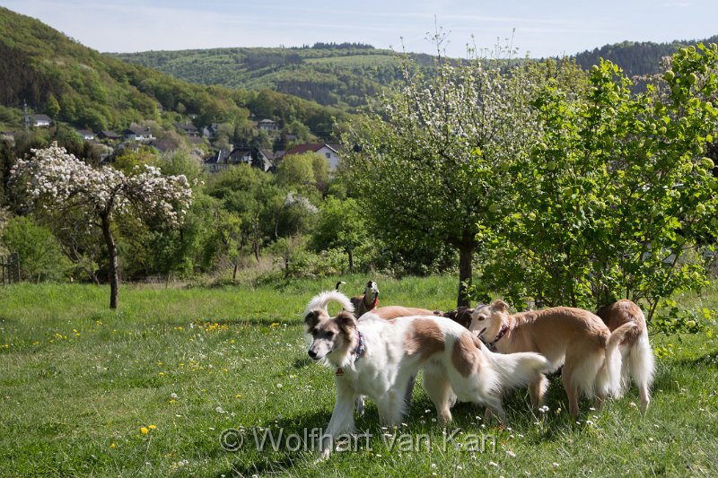 0K2A5737.jpg - Der Hotelgarten