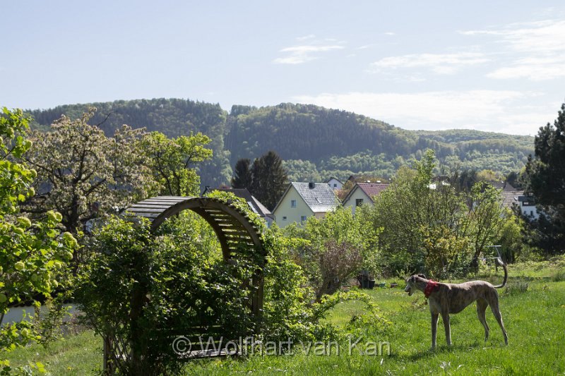 0K2A5740.jpg - Der Hotelgarten