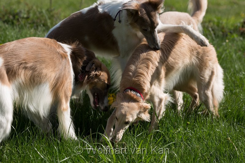 0K2A5746.jpg - Trouble hat ein Spielie entdeckt