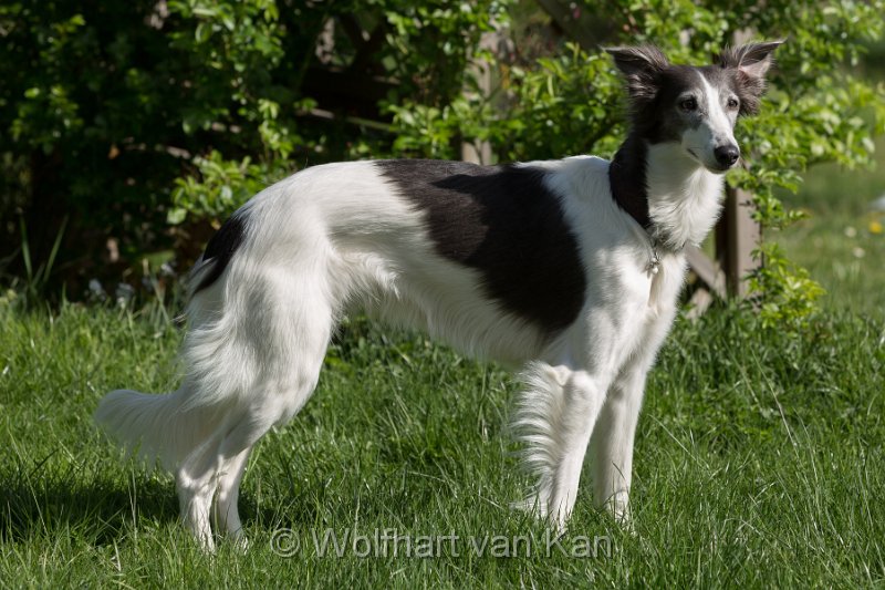 0K2A5747.jpg - Die hübsche Millie
