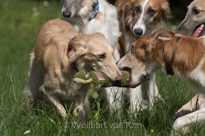 0K2A5756.jpg - Tochter und Vater, Trouble & Clooney