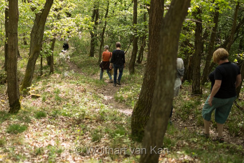 0K2A5778.jpg - Höhen und Tiefen in der Eifel