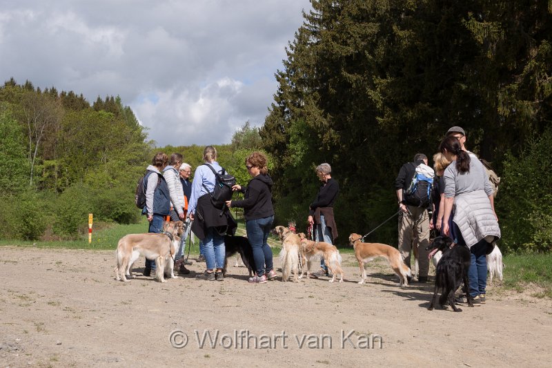 0K2A5859.jpg - Tag 2, im Nationalpark Eifel nur mit Leine...