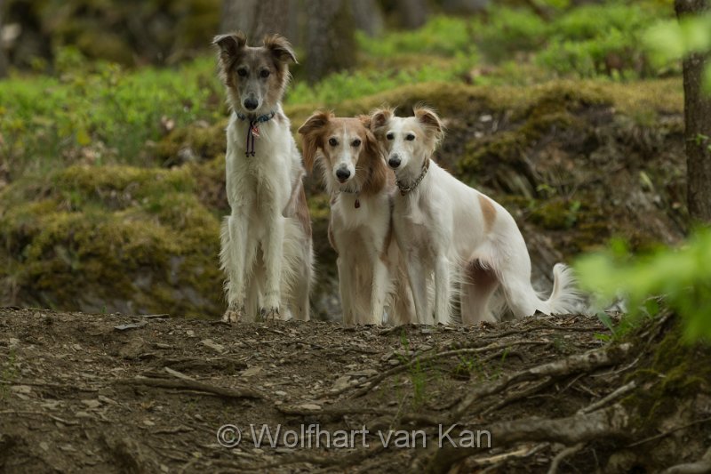 0K2A5924.jpg - Walker, Clooney und Ava