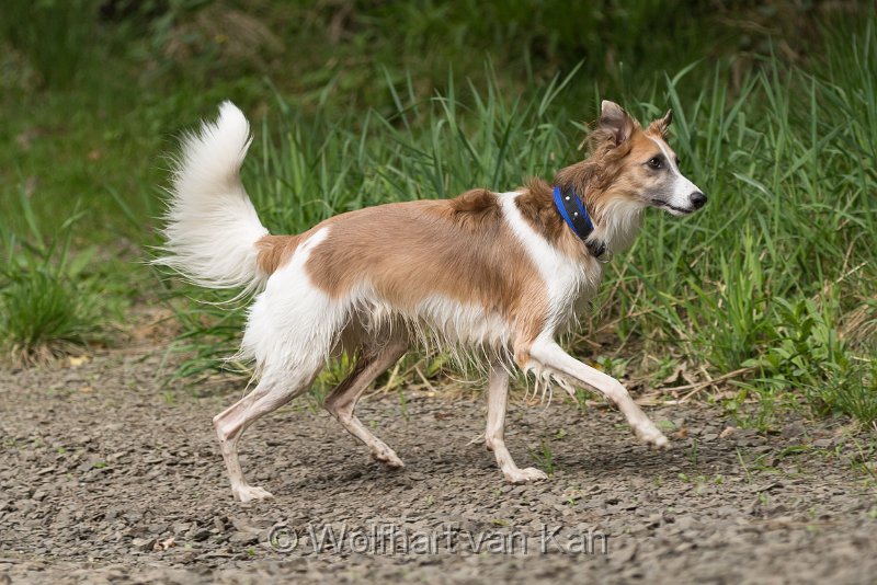 0K2A6021.jpg - Murphy nach Unterbodenwäsche