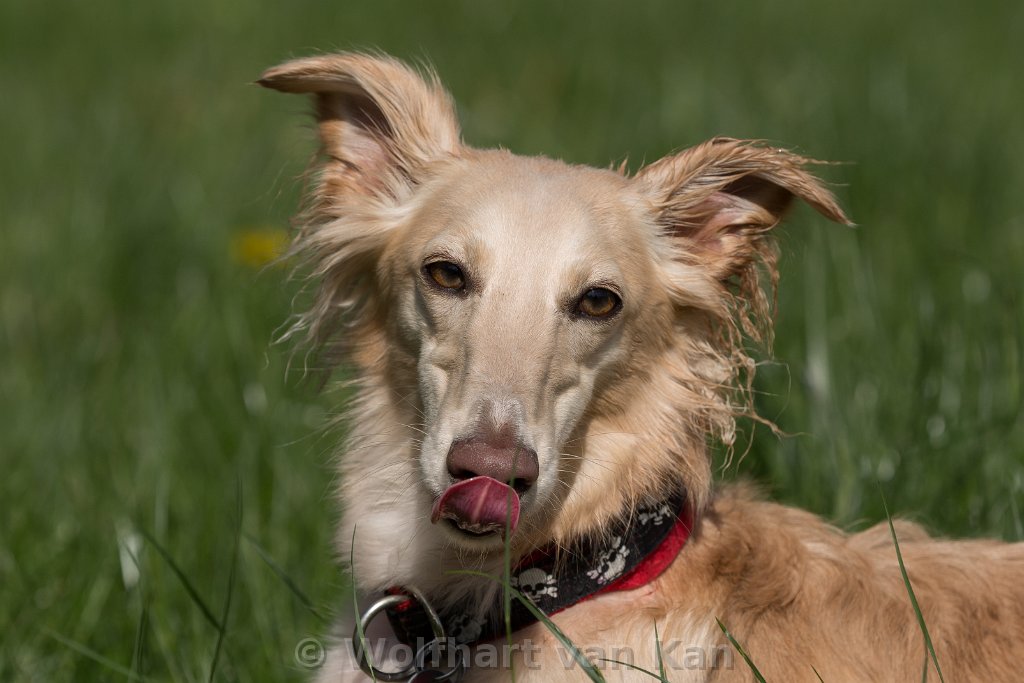 20180429-001.jpg - Trouble
