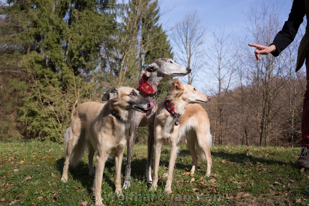 010.jpg - Gruppenfotos sind soo schwierig :-)