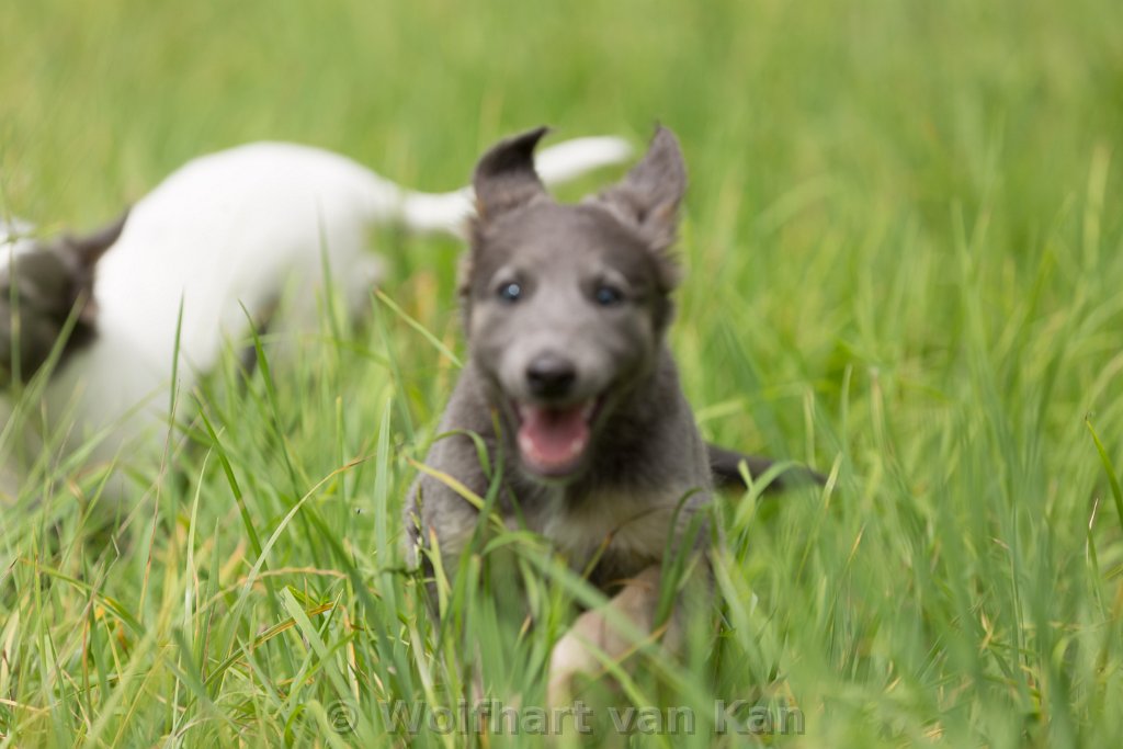 017.jpg - Eine Sekunde vor der Kollision!