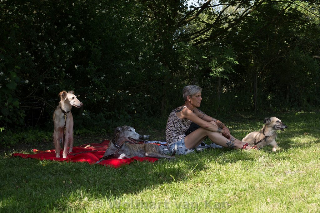 0K2A7982.jpg - Warten auf den Rest