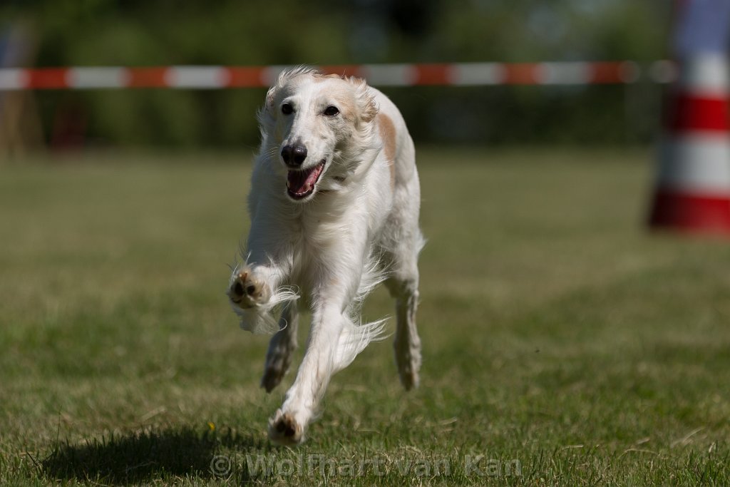 0K2A8071.jpg - Ava in Action