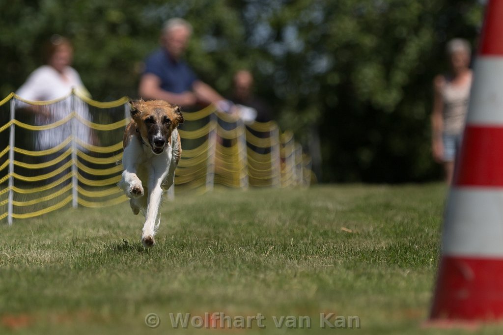 0K2A8110.jpg - Ida im ersten Lauf