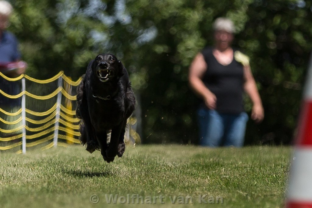 0K2A8214.jpg - Fidelio im Vollsprint