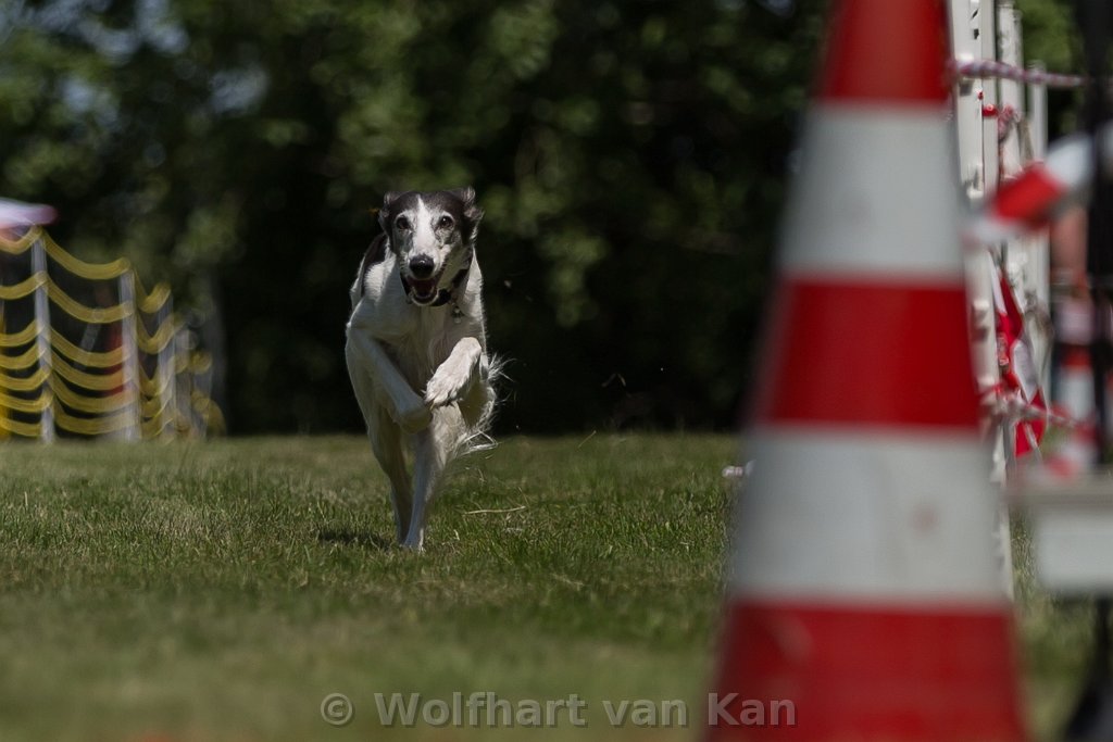 0K2A8219.jpg - Millie