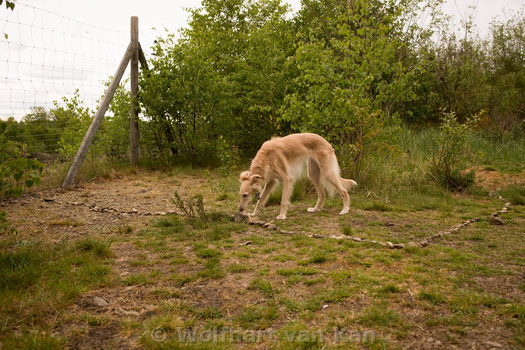 0K2A6552.jpg - Trouble findet lustige Sachen