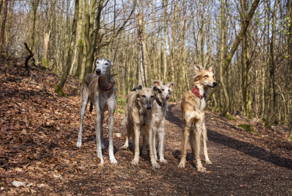 Gruppenfoto