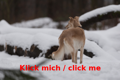 Schnee