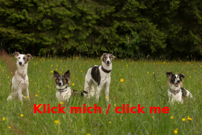 Kindergeburtstag
