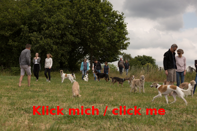 Rudeltag