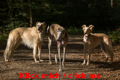Unsere Drei