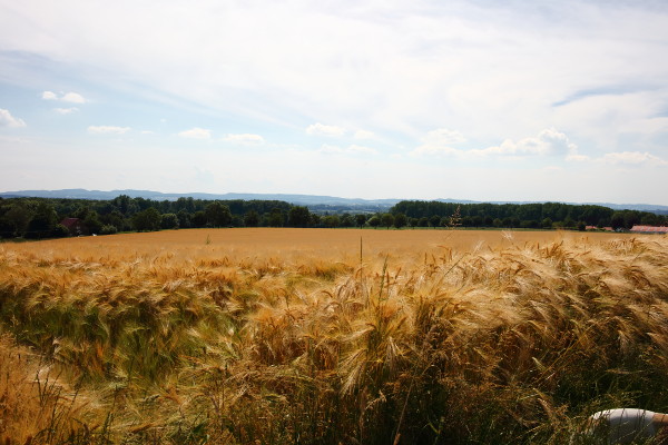 Klimawandel